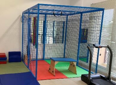spider cage therapy