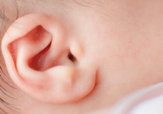 Ear
