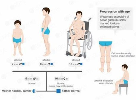 Occupational Therapy Dubai