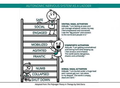Occupational Therapy