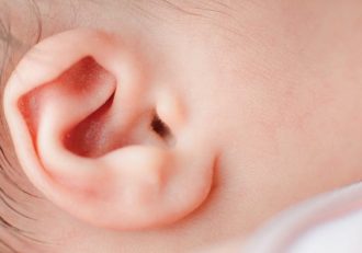 Ear